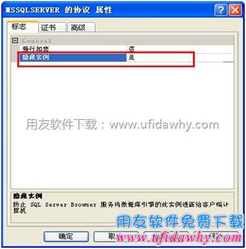將隱藏實(shí)例設(shè)置為是