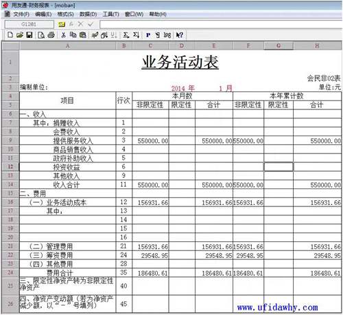 民間非盈利組織的業(yè)務(wù)活動(dòng)表模板取數(shù)后圖示
