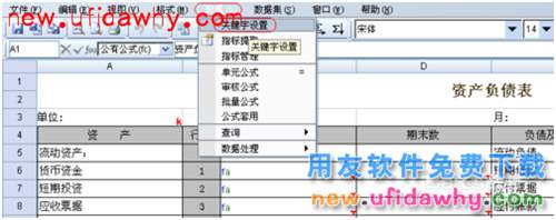 用友NC管理手冊：[10]IUFO報表手冊(中)