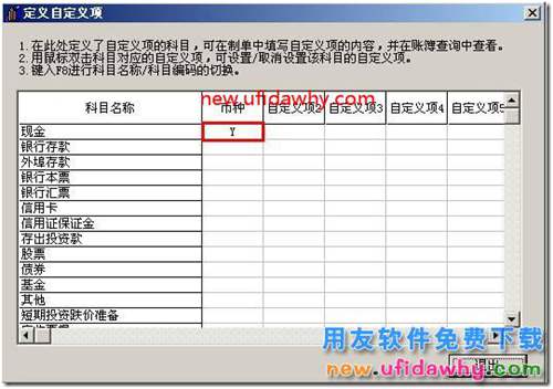 用友T3軟件填制憑證可不可以錄入自定義項(xiàng)？ 用友T3 第10張