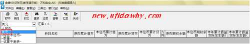 在金蝶KIS記賬王中錄入美元初始數(shù)據(jù)的圖文操作教程